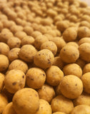 AD Nut