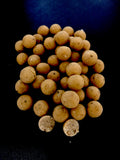AD Nut